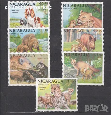Диви животни 1988, Никарагуа