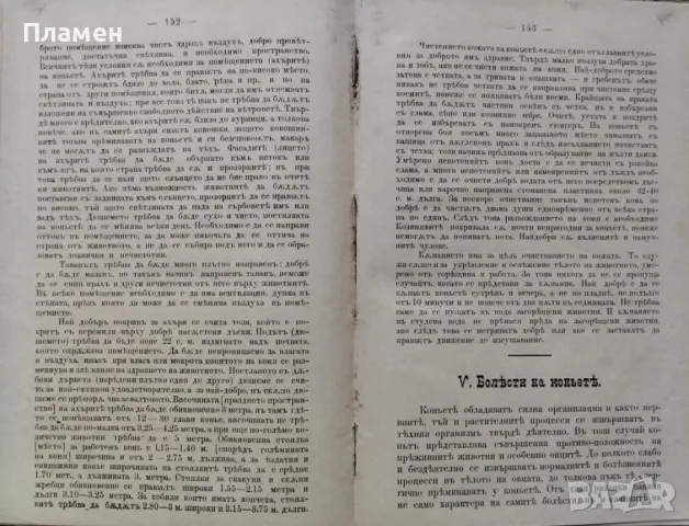 Коневъдство Павелъ Кулешовъ /1892/, снимка 14 - Антикварни и старинни предмети - 47534397