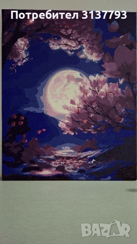 Рисуване по номера 