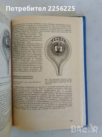 Обща хистология и ембриология, снимка 7 - Специализирана литература - 47491749