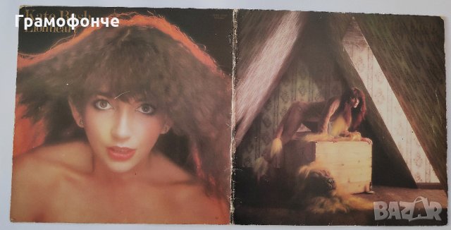  Kate Bush ‎– Lionheart - Кейт Буш - Wow, Hammer Horror, Symphony in Blue  и др, снимка 3 - Грамофонни плочи - 30588234
