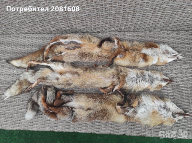 Лисица яка естествена кожа 3 броя , снимка 2 - Други - 37676348