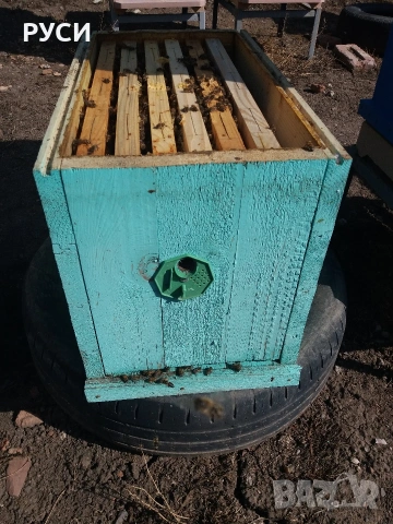 Малки пчелни семейства/отводки/дадан блат миналогодишни 2025г.