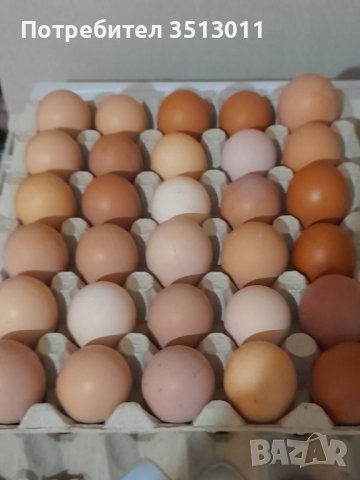 домашни яйца, снимка 1