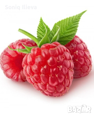 продавам разсад ягоди и малини , снимка 10 - Разсади - 53905722