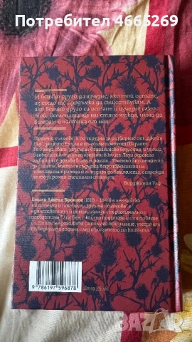 Брулени хълмове, снимка 3 - Художествена литература - 54257303