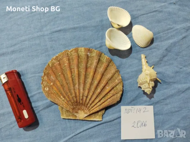 Океански дарове.