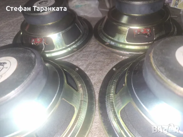 Мидбасови говорители Cat, снимка 9 - Тонколони - 55994259