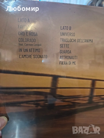 ИРЕНА ГРАНДИ – ЗЛАТНО И РОЗОВО , снимка 5 - Грамофонни плочи - 53255584