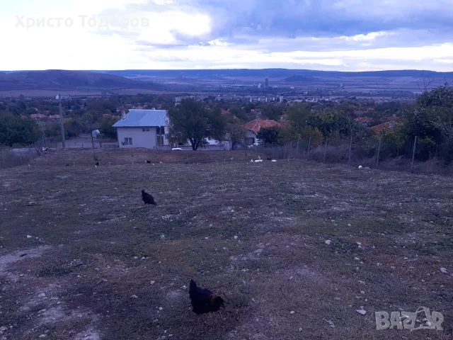 Продавам,Дворно място в гр.Девня, снимка 3 - Парцели - 56529135