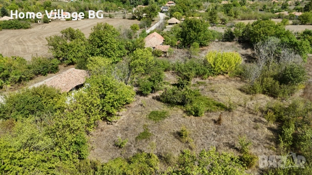 Голям имот в село Овчага, област Варна, снимка 8 - Къщи - 53242664