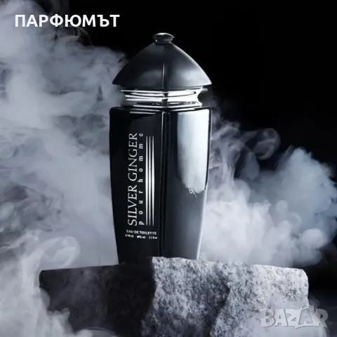 Унисекс Парфюм Silver Ginger by BN, Unisex, Eau de toilette 100ml, снимка 2 - Унисекс парфюми - 49671410