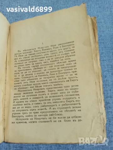 Фридрих Гризе - Бягството , снимка 5 - Художествена литература - 55894191