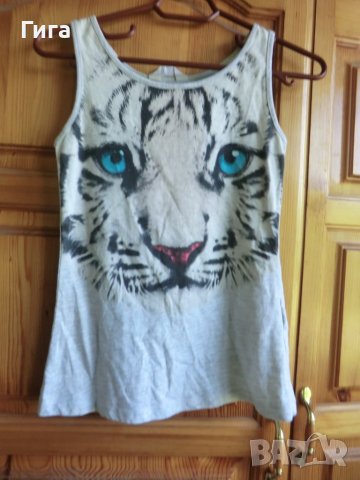 Потниче тигър НМ, снимка 1