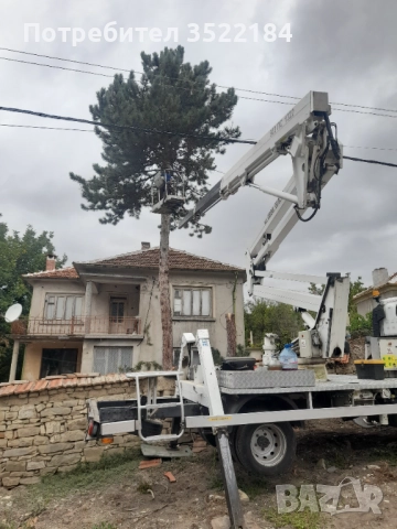 Услуги с автовишка рязане и кастрене на опасни дървета 