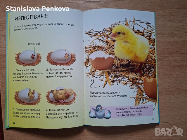 Голям лот детски книжки, снимка 8 - Детски книжки - 54238127