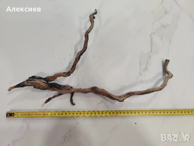 Lava rocks / Лава камъни