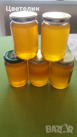 Био мед и пчелен клей от малък производител, снимка 1 - Пчелни продукти - 30046606