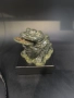 Нефритената жаба на Богатството , снимка 1