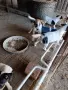 куче 🐕 Джак Ръсел , снимка 14