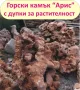 големи Горски КАМЪНИ за Декорация в двора, на цветни лехи, градински пътеки, кашпи, саксии, фонтани…, снимка 7