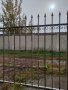 Оградни пана. , снимка 4