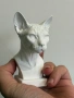 Sphynx Cat Bust /Канадски сфинкс котка, снимка 5
