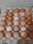домашни яйца, снимка 1 - Домашни продукти - 38834809