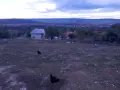 Продавам,Дворно място в гр.Девня, снимка 3