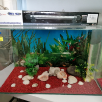 Нов аквариум за рибки, снимка 1 - Аквариуми - 44922920