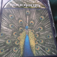 The Bluetones ‎– Expecting To Fly оригинален диск, снимка 1 - CD дискове - 36507434