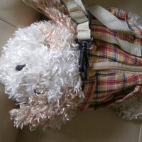 Детска текстилна чанта -куче, снимка 6 - Плюшени играчки - 31532349