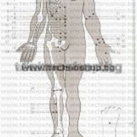 Електроимпулсен масажор с вакуумни чаши - TS5687, снимка 6 - Медицинска апаратура - 44664565