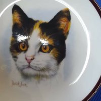 Колекционерски чинии за стена с котки , снимка 8 - Декорация за дома - 39749553