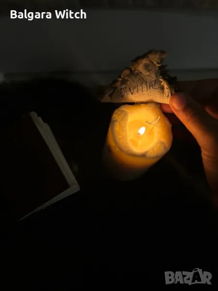 Муска за: защита,късмет,финанси, снимка 1