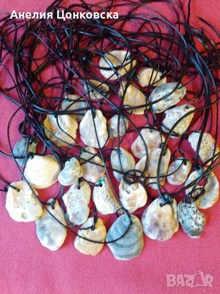 Колиета от стриди 2022, снимка 1