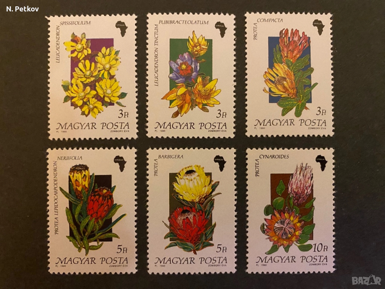 Унгария, Цветя, снимка 1