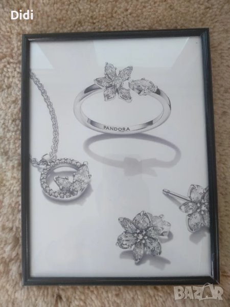 Рамка за снимка Картина Пандора , снимка 1