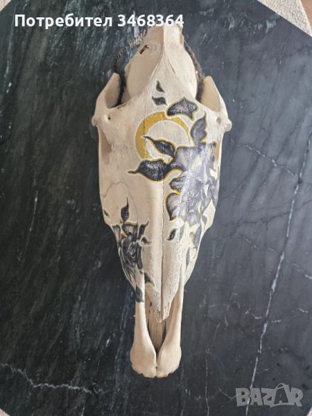 Конски череп за декорация - ръчно рисуван, снимка 1