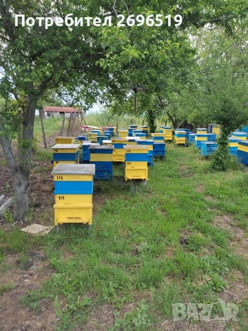 пчелин, снимка 6 - За пчели - 53222159