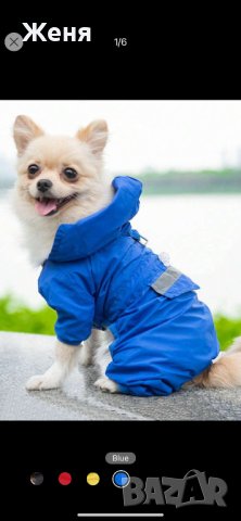 Дъждобран за куче 