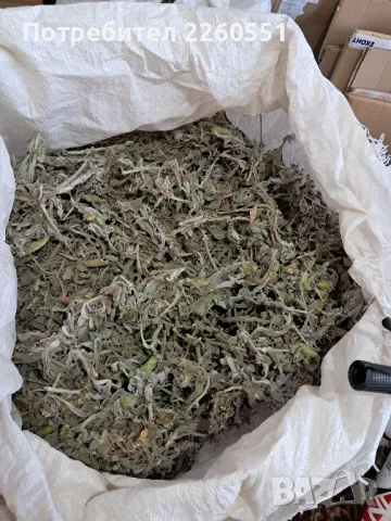 Мурсалски чай нарязан , снимка 2 - Хранителни добавки - 47877941