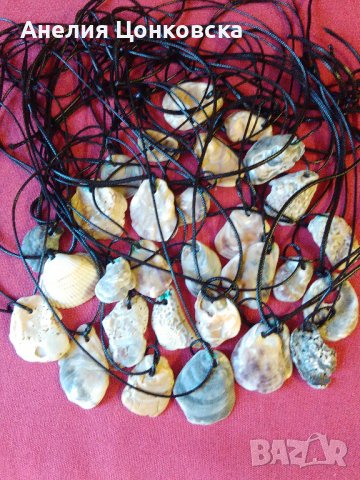 Колиета от стриди 2022, снимка 1