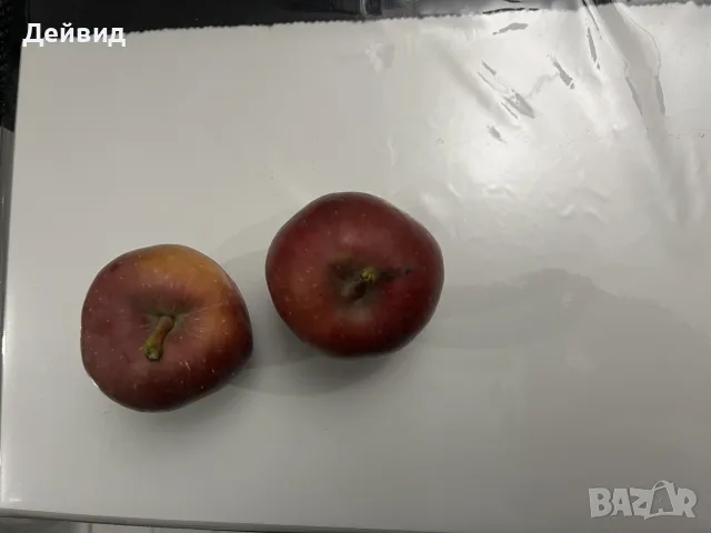 Продавам домашни ябълки, снимка 2 - Домашни продукти - 56076467