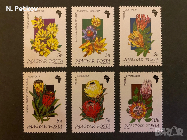 Унгария, Цветя