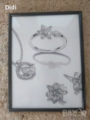 Рамка за снимка Картина Пандора , снимка 1