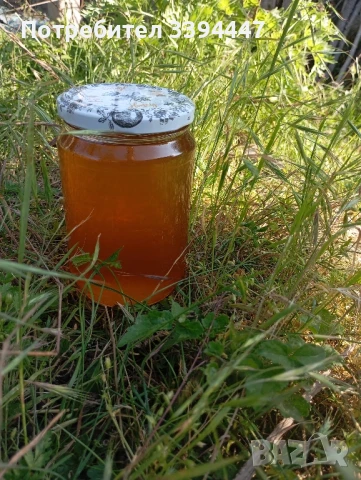 чист пчелен мед 