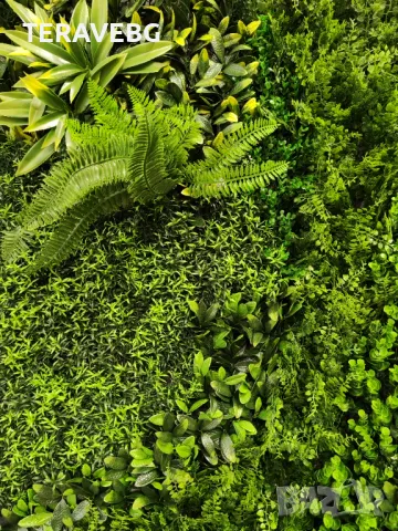 Изкуствено озеленяване по проект , снимка 16 - Изкуствени цветя - 48672436