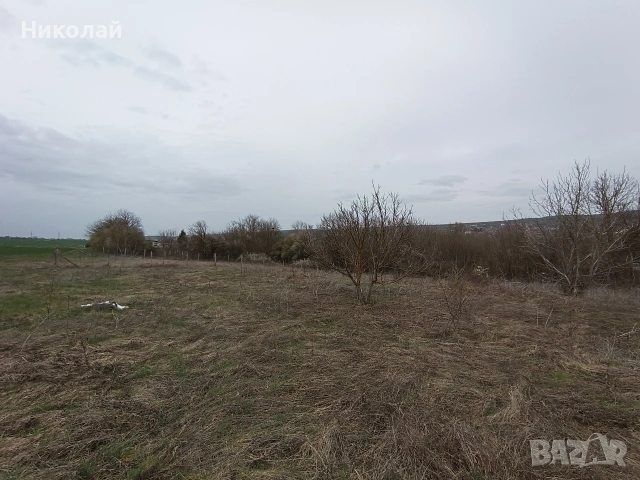 парцел в с. Шемшево , снимка 3 - Парцели - 54132918