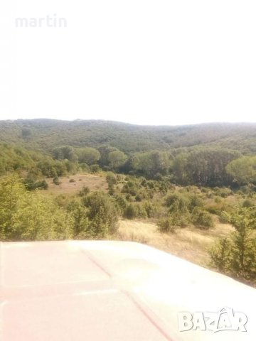 Почистване на пасища, снимка 11 - Селскостопанска техника - 39630131